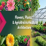 gardenflowerspeace