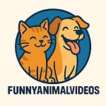 funny videos of animals