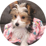 Raising Abby