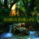 Music for mental, spiritual health, calm the mind, relax, meditate, yoga and contribute to your health