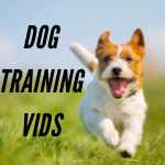 Dog Training Vids