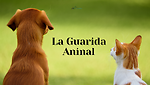 mascotas