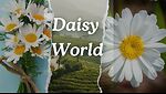 Daisy World Daily