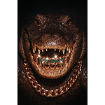 Jvngle Babi Entertainment