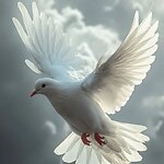 In Memoriam