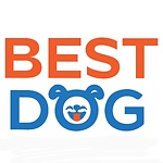 Best Dog Adventures