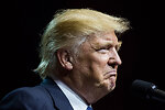 The Donald Report
