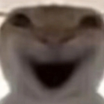 Meme Institute