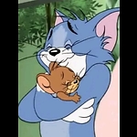 Tom and Jerry show