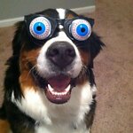 hummicky funny