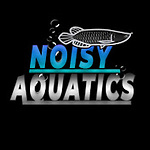 Noisy Aquatics