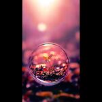 SM_ Motives