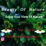 BeautyOFNature2