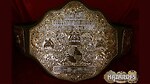 Big Gold Belt Vids