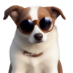 FunCoolAnimal