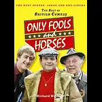 Only Fools and Horses (All Seasons Free)