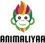 Animaliyaa