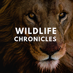 Wildlife Chronicles