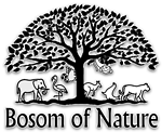 On the Bosom Of Nature