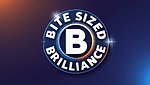 Bite Sized Brilliance