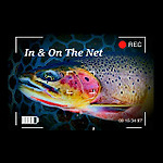 In And On The Net Fishing