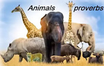 Animals Lovers
