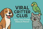 Viral Critter Club