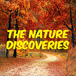 THE NATURE DISCOVERIES