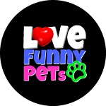 Love Funny Pets