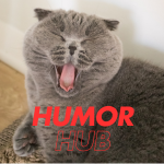 Humor Hub