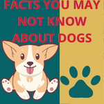 FACTS YOU MAY NOT KNOW ABOUT DOGS