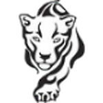 SCS Cougars Fan