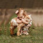 Cute Animals Videos