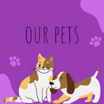 Our Pets