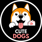 CUTE DOG VIDEOS