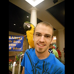 The lifestyle of scaling.