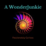 A Wonder Junkie Podcast