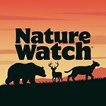 Nature Watch