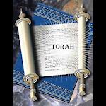 Binah Torah - Beyond Belief