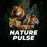 Nature Pulse