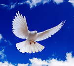 Worship&praise