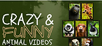 New fashion,gaming,funny vedio