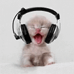 MrBiscuits