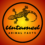 Untamed Animal Facts