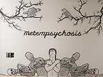 Metempsychosis