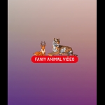 Faniy animal video