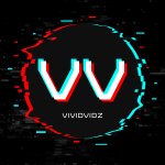 VividVidz