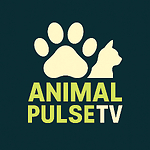 Funny, Cute & Wild Animals