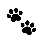 Paws & Pranks