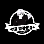 Mr Gamer Bhaiya